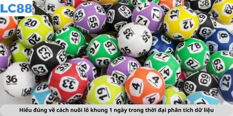 Hiểu đúng về cách nuôi lô khung 1 ngày trong thời đại phân tích dữ liệu