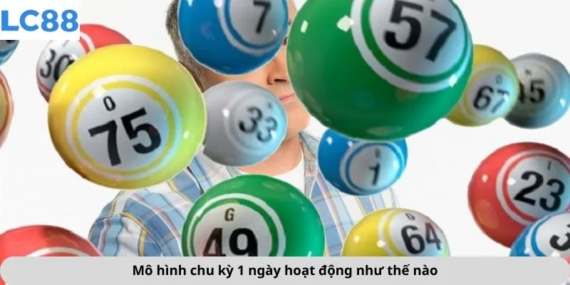 Mô hình chu kỳ 1 ngày hoạt động như thế nào