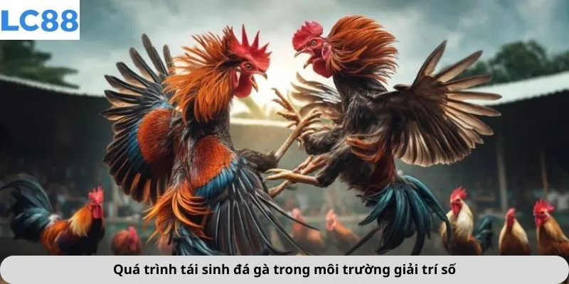 Quá trình tái sinh đá gà trong môi trường giải trí số
