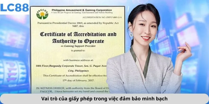 Vai trò của giấy phép trong việc đảm bảo minh bạch